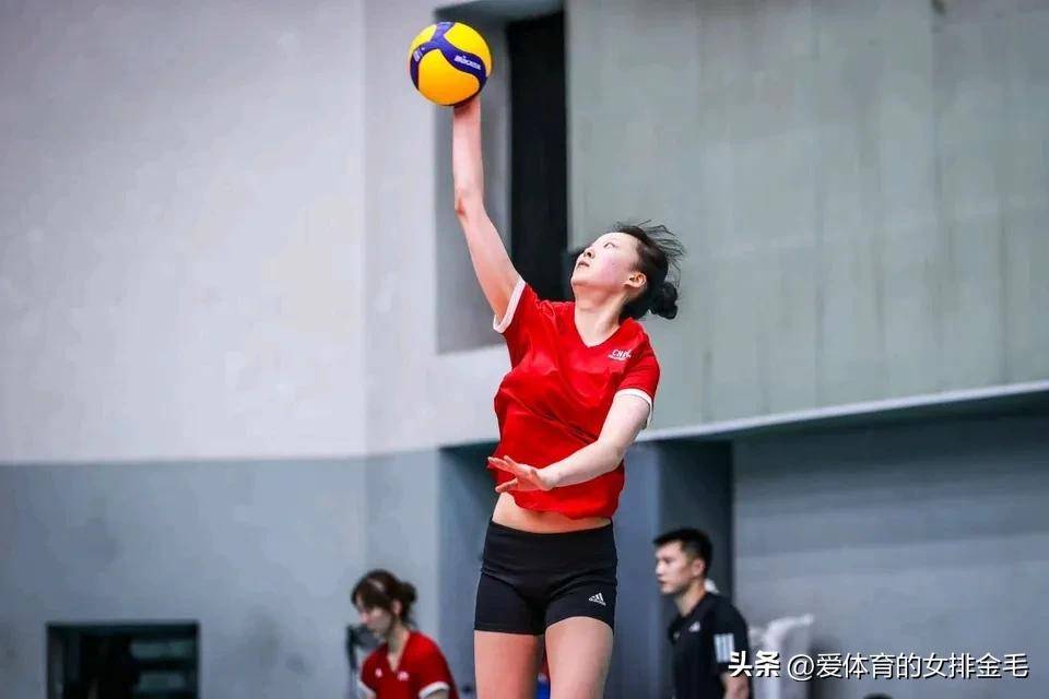女排赛场上演精彩对抗，强队势在必得的简单介绍